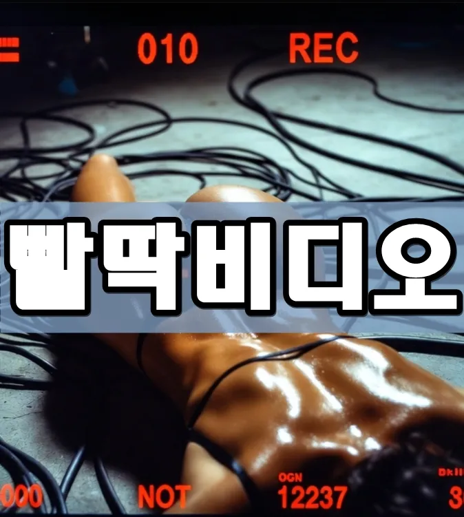 빨딱비디오 표지
