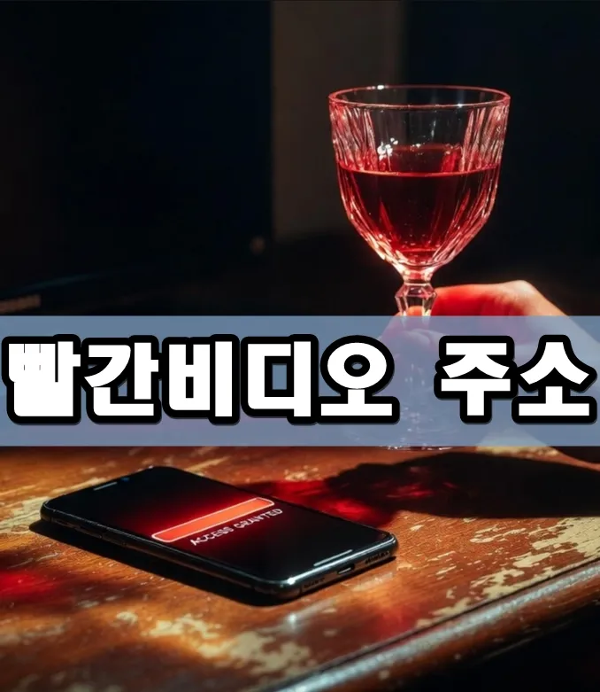 빨간비디오 주소 표지